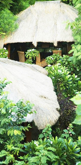 Affordable  Tree House In Chandwaji