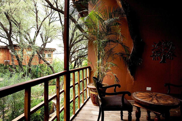 Luxury  Tree House In Rajasthan